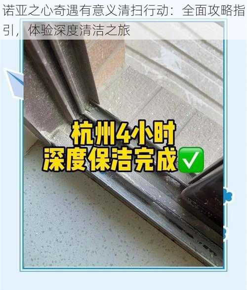 诺亚之心奇遇有意义清扫行动：全面攻略指引，体验深度清洁之旅