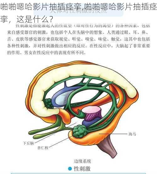 啪啪嗯哈影片抽插痉挛,啪啪嗯哈影片抽插痉挛，这是什么？