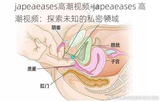 japeaeases高潮视频-japeaeases 高潮视频：探索未知的私密领域