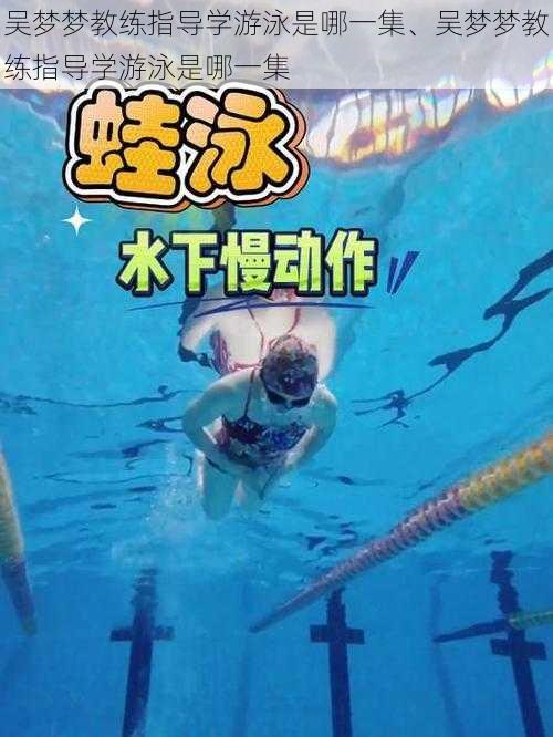 吴梦梦教练指导学游泳是哪一集、吴梦梦教练指导学游泳是哪一集