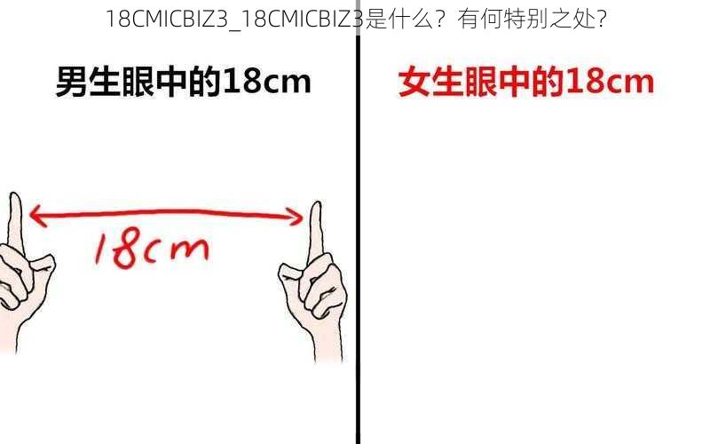 18CMICBIZ3_18CMICBIZ3是什么？有何特别之处？