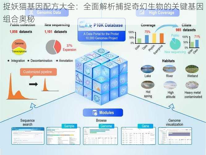 捉妖猫基因配方大全：全面解析捕捉奇幻生物的关键基因组合奥秘