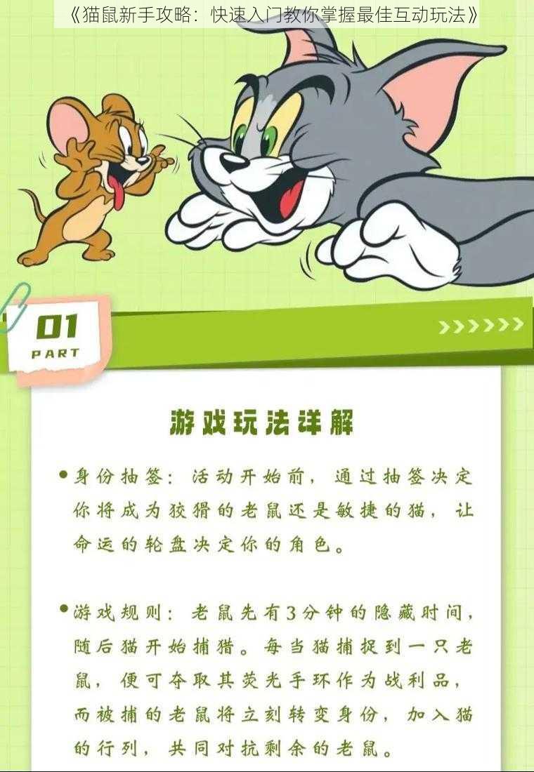 《猫鼠新手攻略：快速入门教你掌握最佳互动玩法》