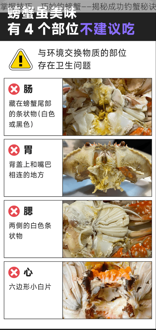 掌握技巧，巧妙钓螃蟹——揭秘成功钓蟹秘诀