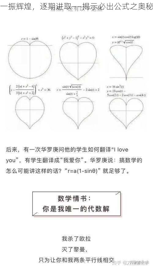 一振辉煌，逐期进取——揭示必出公式之奥秘