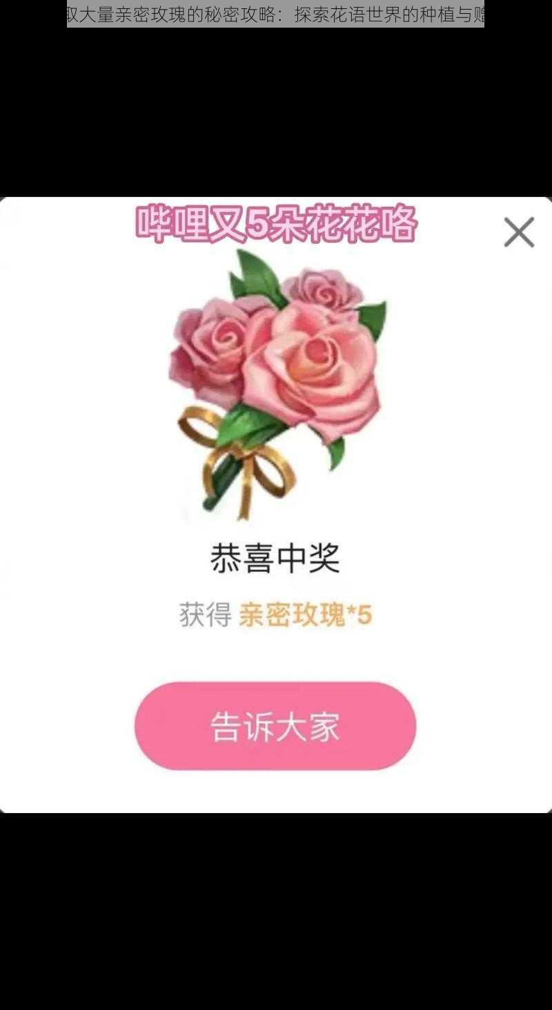 如何获取大量亲密玫瑰的秘密攻略：探索花语世界的种植与赠送之道