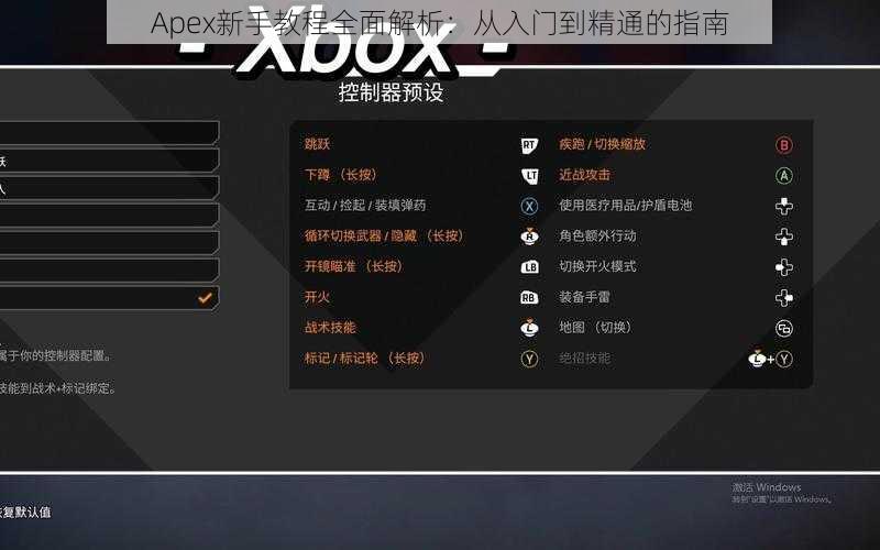 Apex新手教程全面解析：从入门到精通的指南