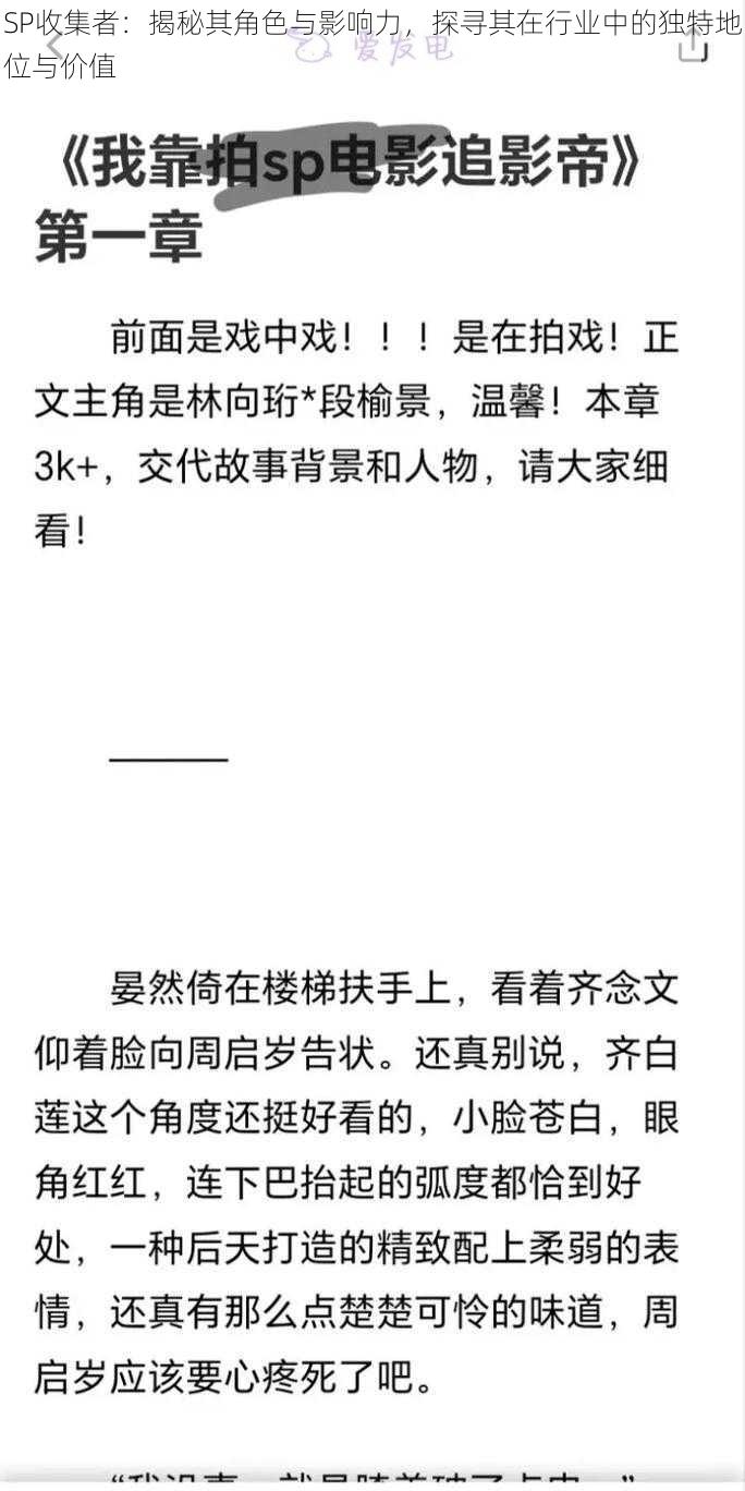 SP收集者：揭秘其角色与影响力，探寻其在行业中的独特地位与价值