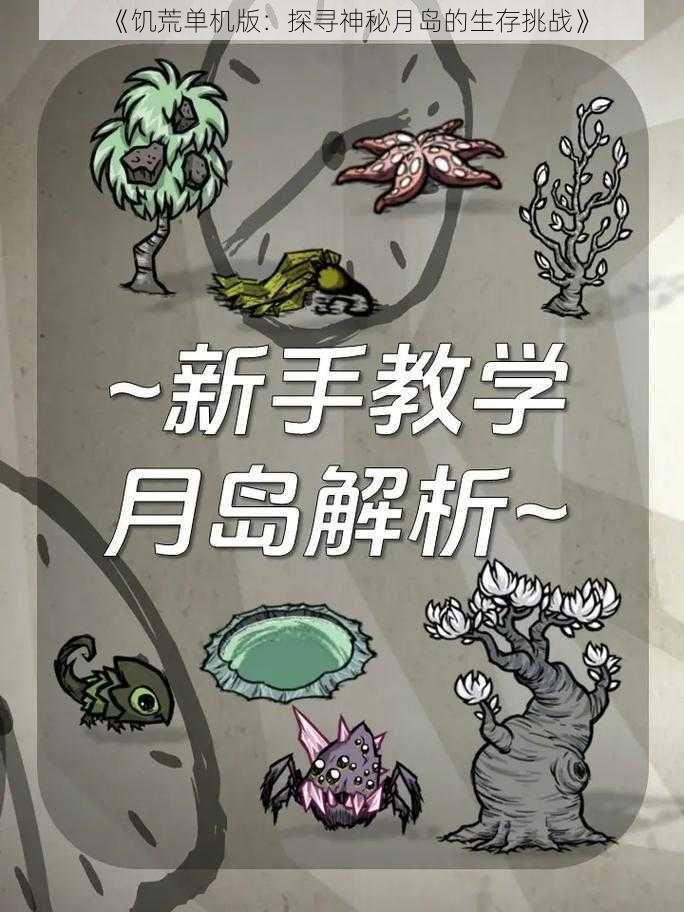 《饥荒单机版：探寻神秘月岛的生存挑战》