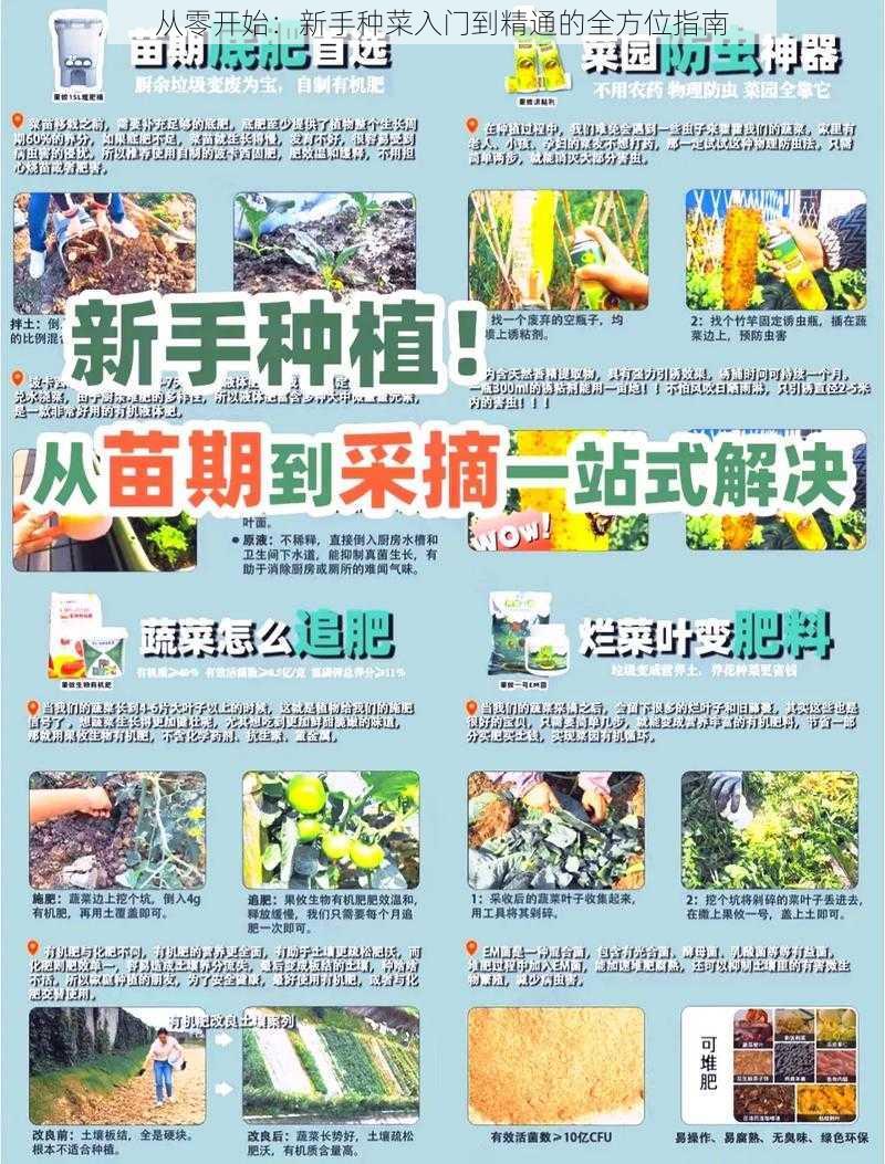 从零开始：新手种菜入门到精通的全方位指南