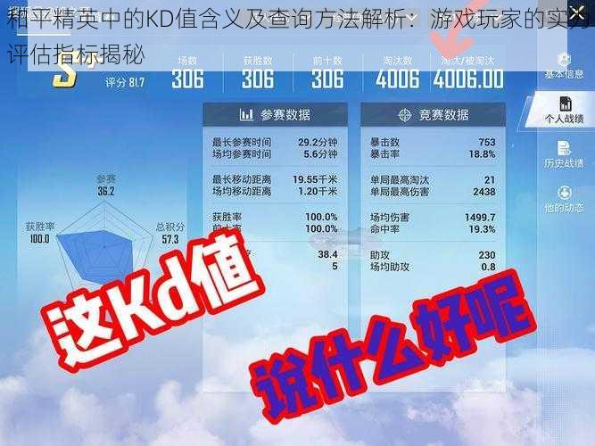 和平精英中的KD值含义及查询方法解析：游戏玩家的实力评估指标揭秘