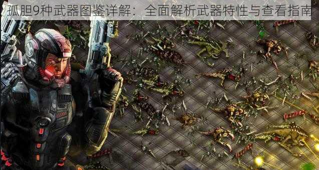 孤胆9种武器图鉴详解：全面解析武器特性与查看指南