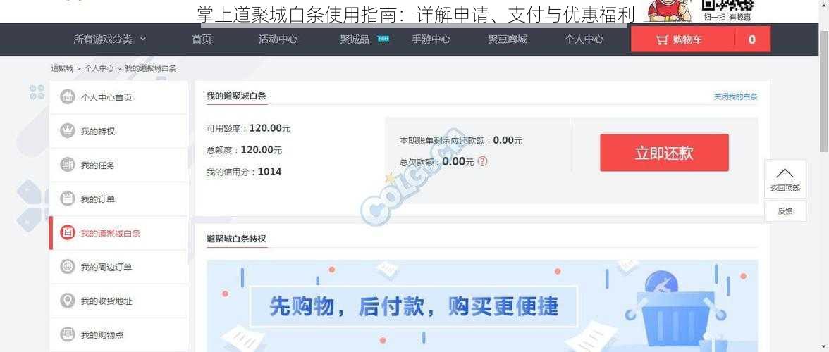 掌上道聚城白条使用指南：详解申请、支付与优惠福利