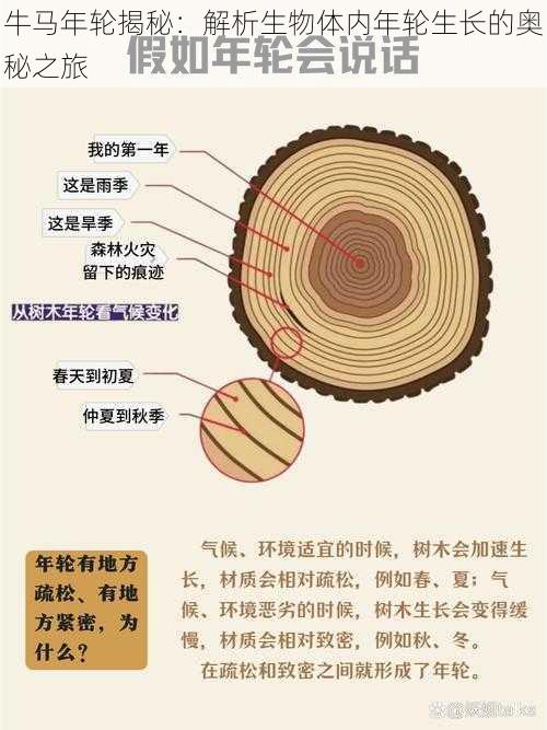 牛马年轮揭秘：解析生物体内年轮生长的奥秘之旅