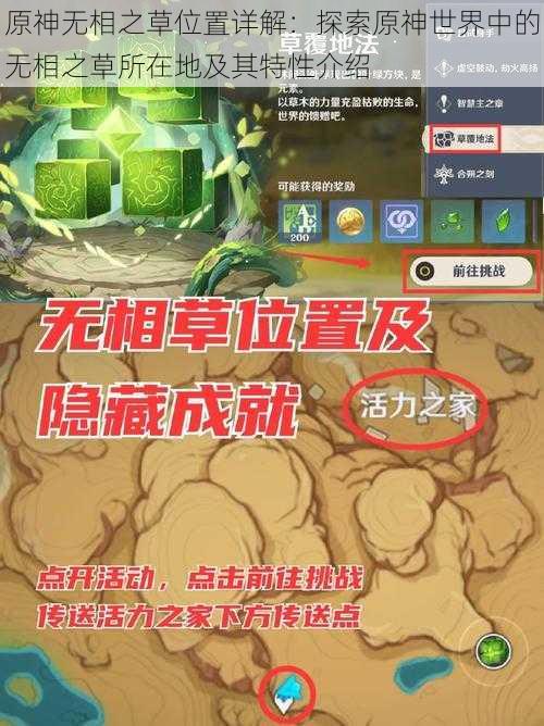 原神无相之草位置详解:探索原神世界中的无相之草所在地及其特性介绍